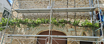 viganoni-4